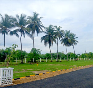 chennai highway city (10)