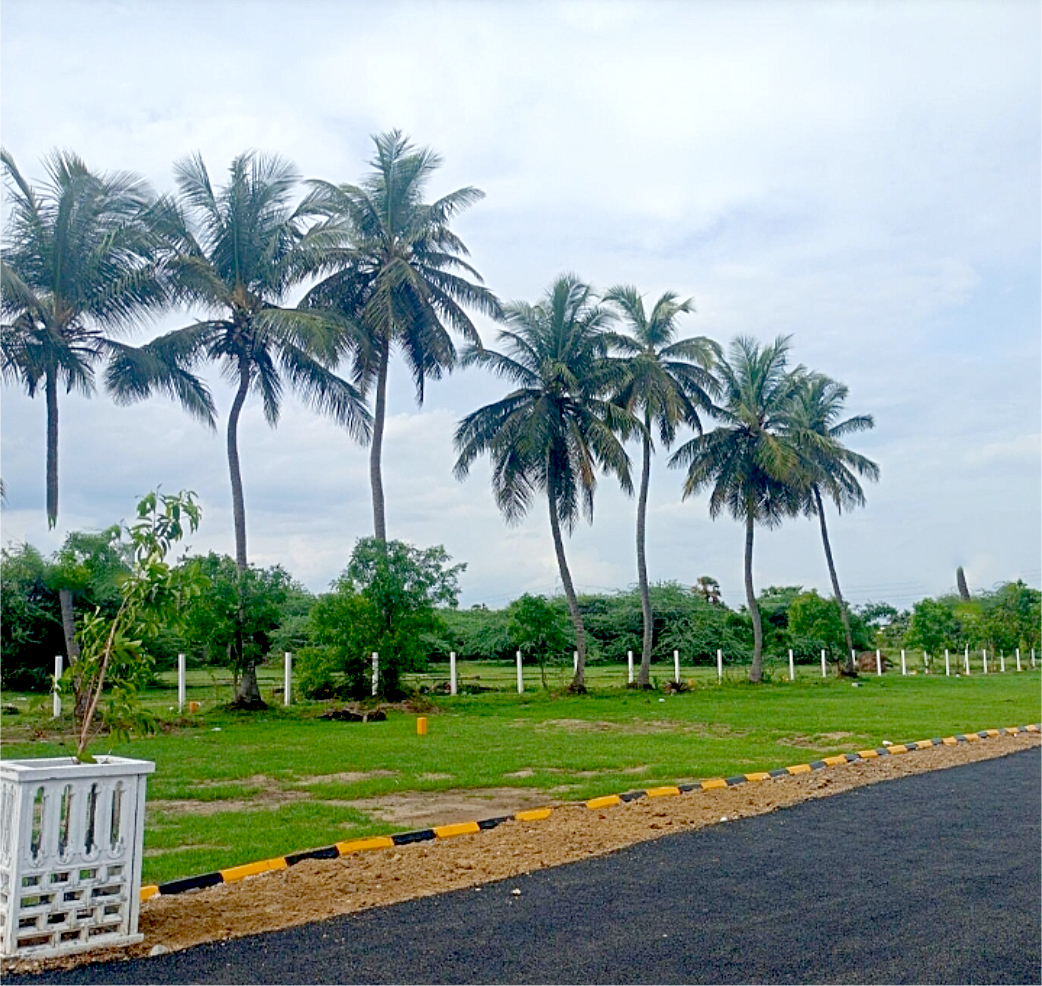 chennai highway city (10)