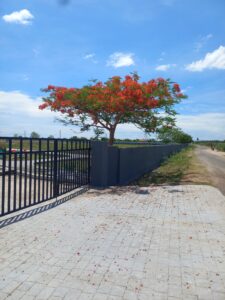 dream castle plots dks (2)