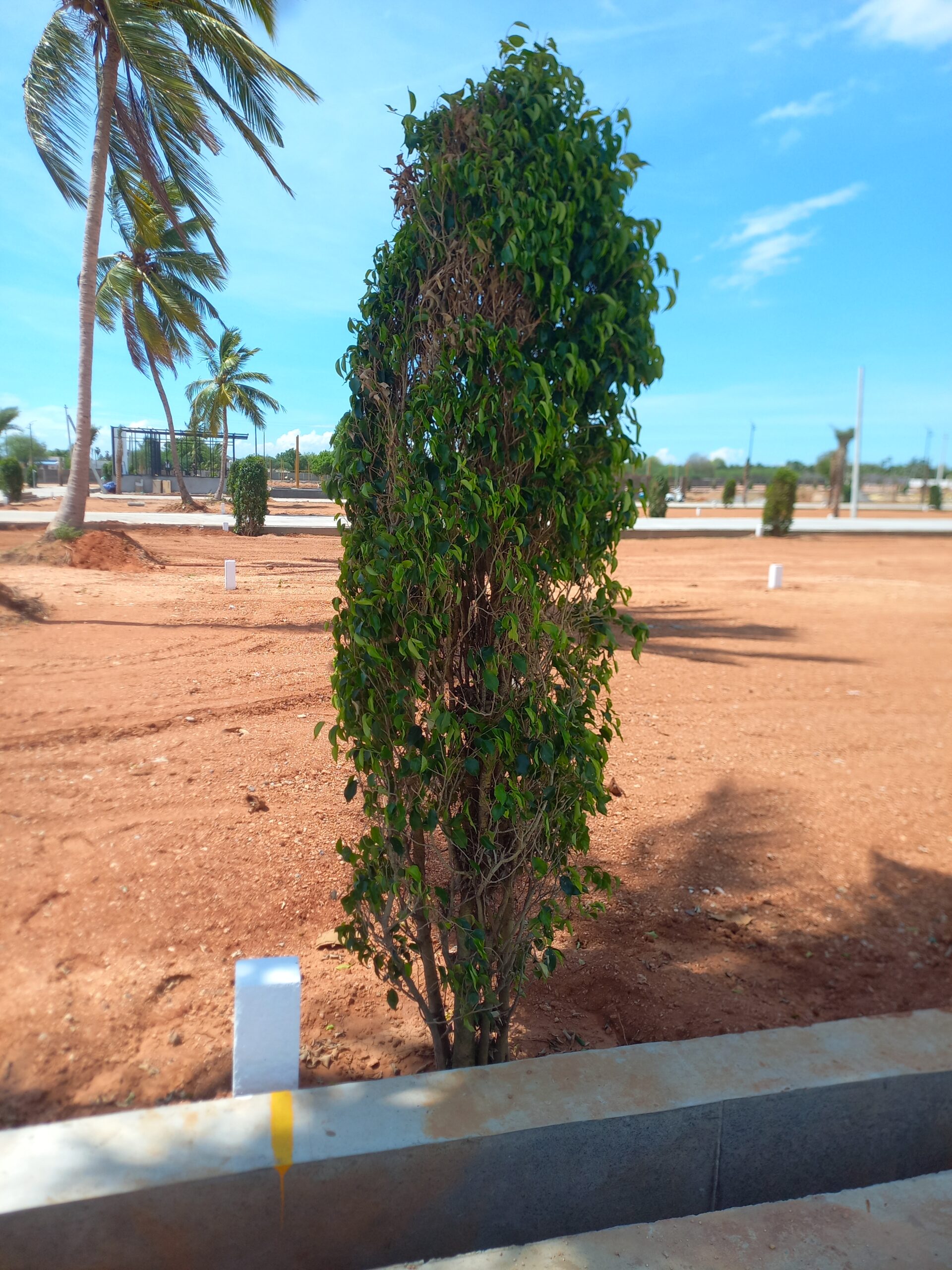 melapachakudi elite plots dks prime realty (13)