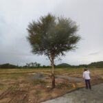 Thiruthani Temple City – DTCP Plots Near Thiruthani Murugan Temple | Sholingur | ₹555/sq.ft thiruthani temple city plots dks prime realty (8)
