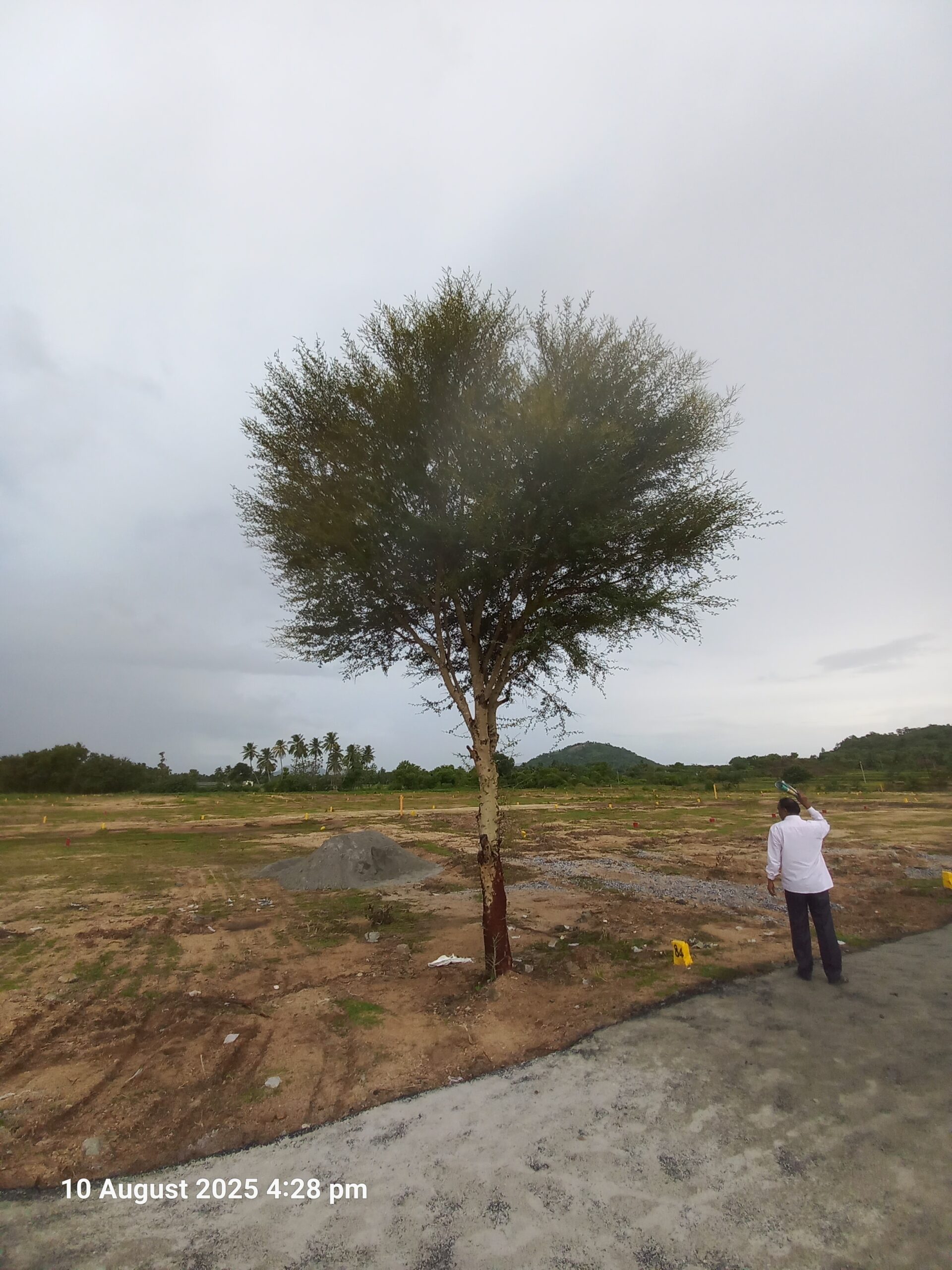 thiruthani temple city plots dks prime realty (8)
