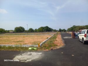 dream grandiose plots view