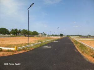 dream grandiose street view